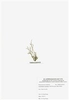 藏品(穗狀魚棲苔)的圖片